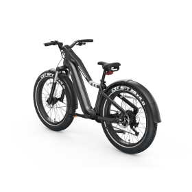 Ranger EB50 EBike (Option: EB50 Black)